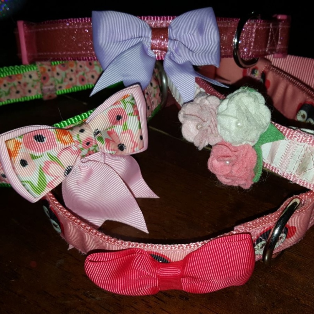 4 Fashion XXL dog collars